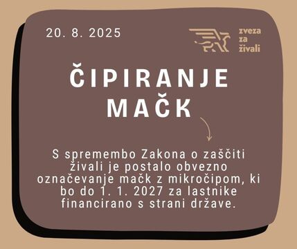 Čipiranje mačk