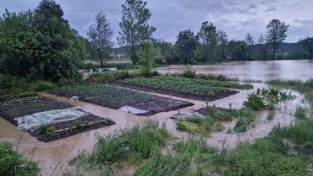 PRIJAVA ŠKODE ZARADI OBILNEGA DEŽEVJA S POPLAVAMI IN PLAZOVI OD 14. DO 23. MAJA