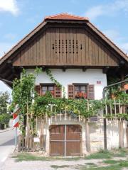 rsz_potomkastaretrte